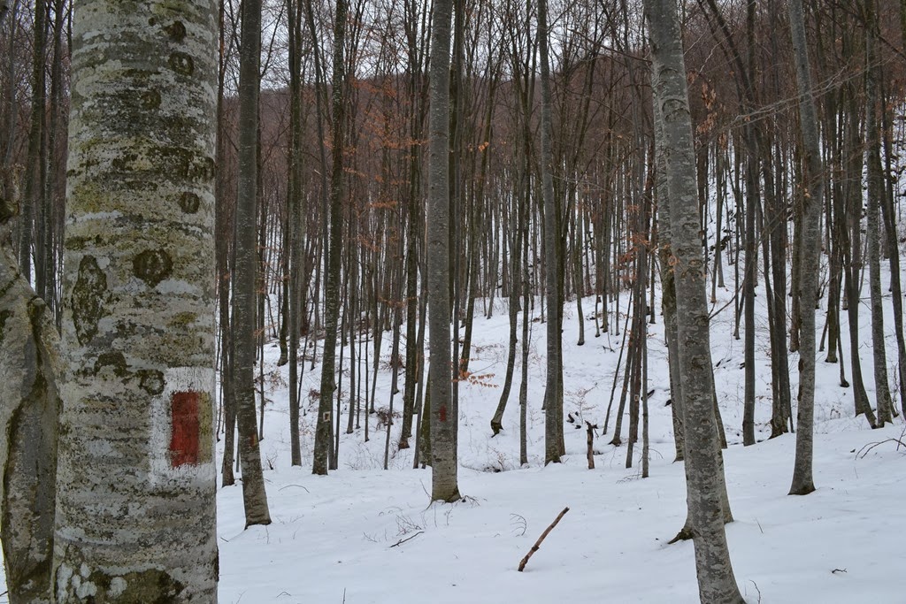 [DSC_20723.jpg]