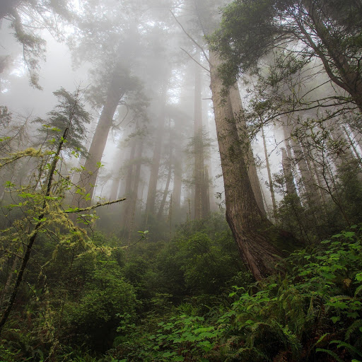 Hd-163787-ascw163787