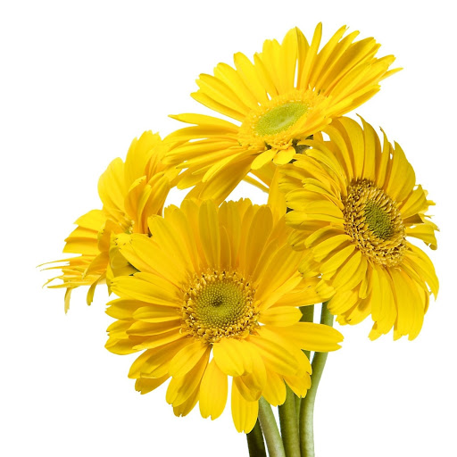 Hd-149273-ascw149273