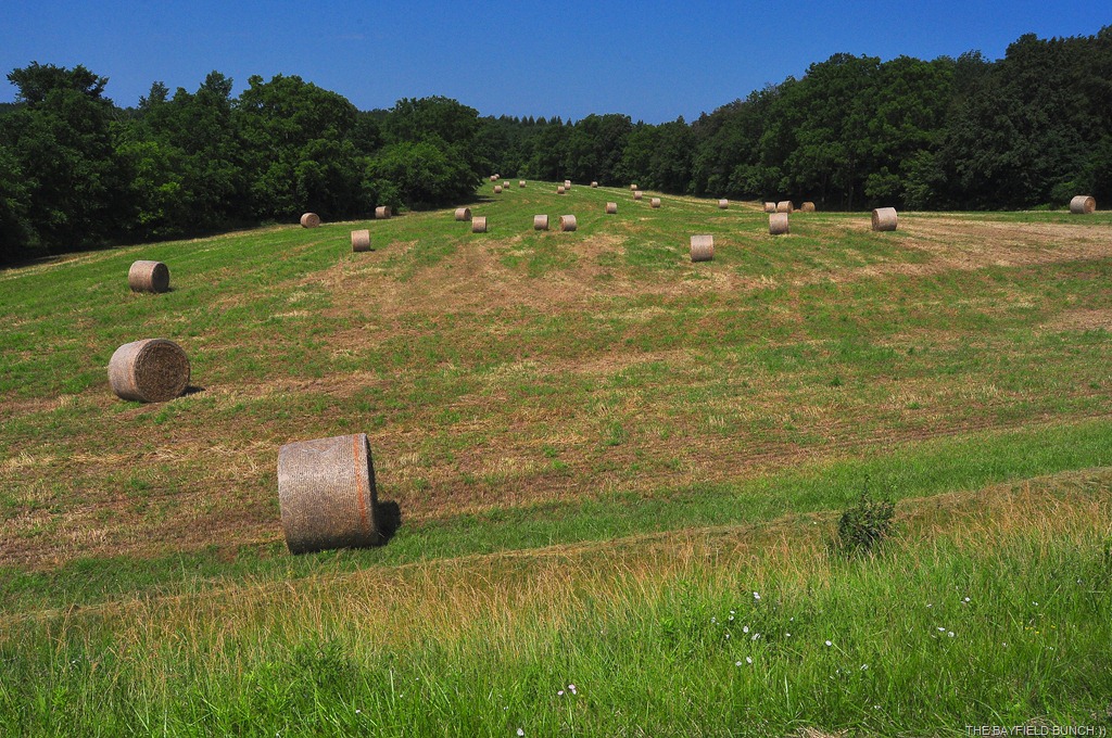 [DSC_0026%255B3%255D.jpg]