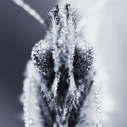 Hd-140135-ascw140135