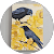 Karen Blackbird Karen Blackbird