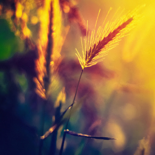 Hd-164463-ascw164463