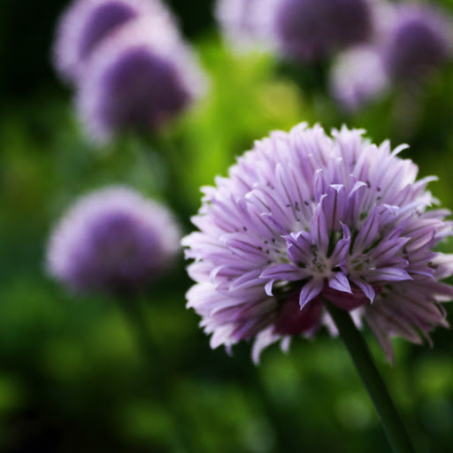 Hd-171301-ascw171301