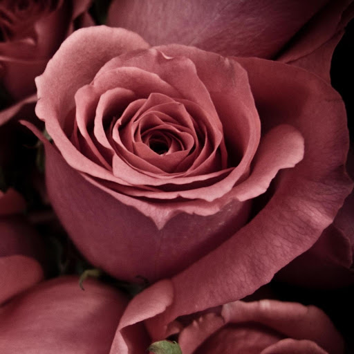 Hd-177323-ascw177323