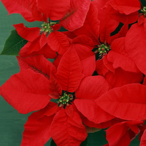 Hd-166822-ascw166822