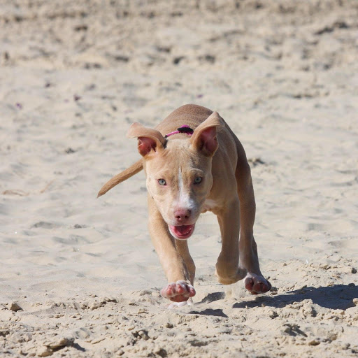 Hd-132518-ascw132518