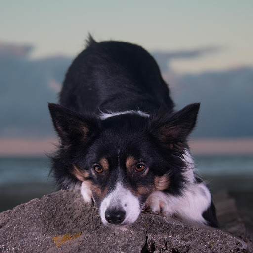 Hd-156843-ascw156843