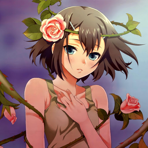 Hd-178113-ascw178113