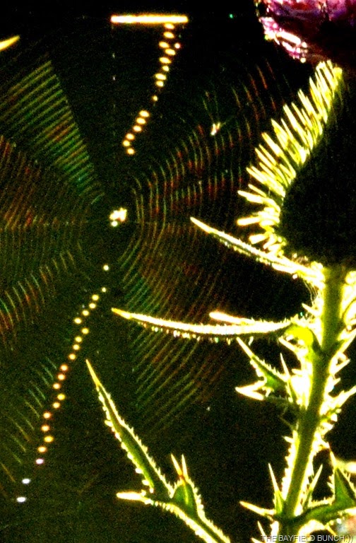 [DSC_0034%255B17%255D.jpg]