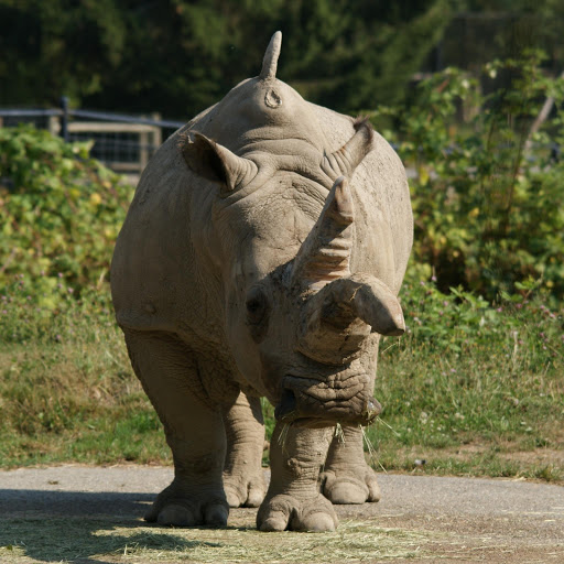 Hd-132102-ascw132102