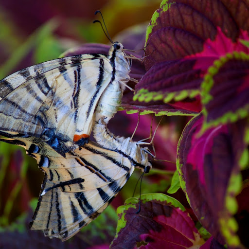 Hd-143937-ascw143937