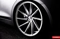 Vossen-10