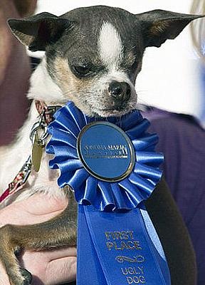 [Urod_dog_1%255B4%255D.jpg]