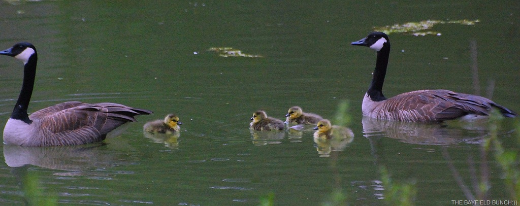 [DSC_9430%255B4%255D.jpg]