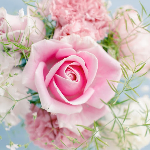 Hd-176816-ascw176816