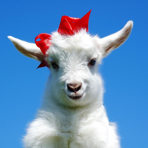 Hd-150411-ascw150411