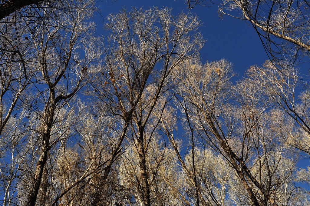 [DSC_0056%255B8%255D.jpg]