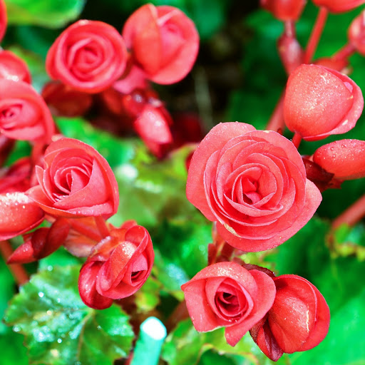 Hd-148422-ascw148422