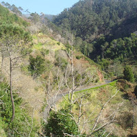 prachtige natuur van west Madeira
