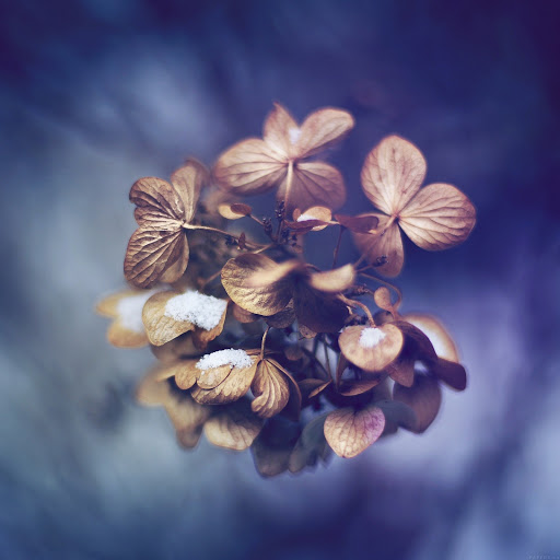 Hd-162654-ascw162654