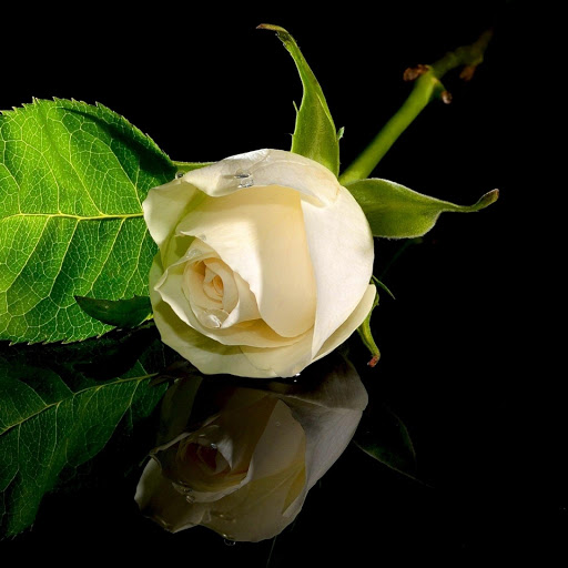 Hd-176992-ascw176992