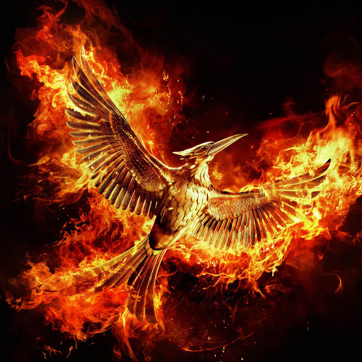 Hd-167710-ascw167710