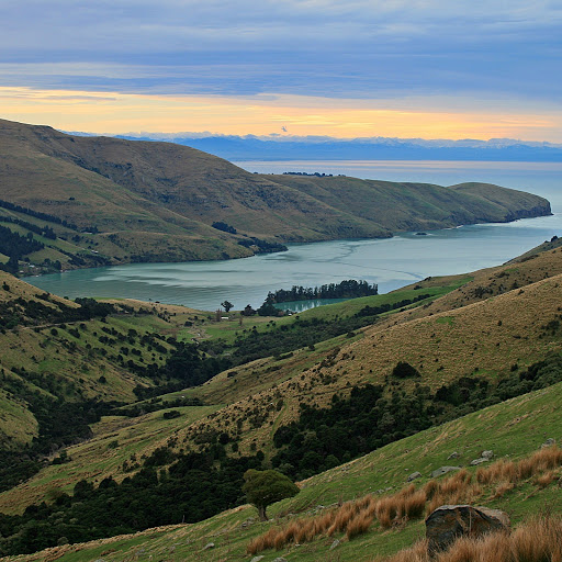 Hd-173501-ascw173501