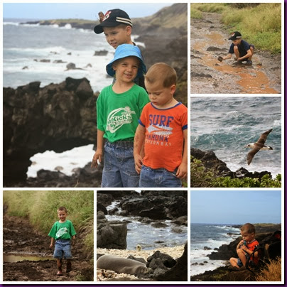 PicMonkey Collage PicMonkey Collage