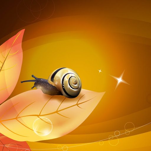 Hd-146170-ascw146170