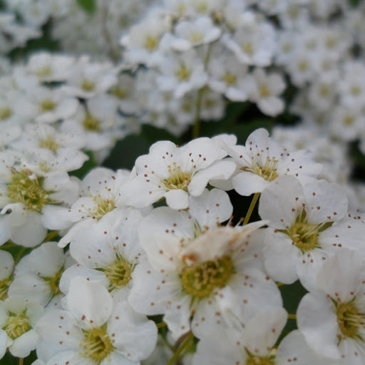 Hd-165817-ascw165817