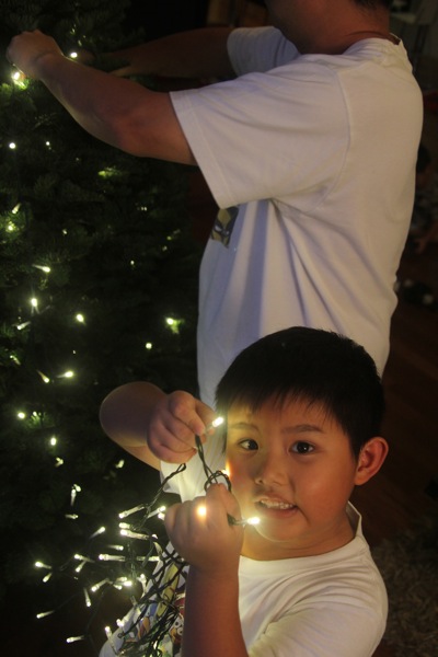 IMG_7436.jpg IMG 7436