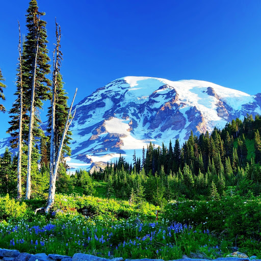 Hd-151518-ascw151518