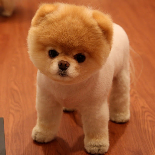 Hd-180654-ascw180654