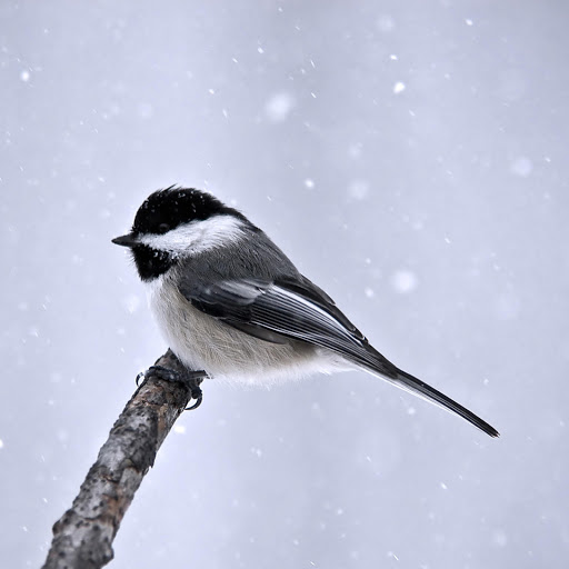 Hd-177996-ascw177996