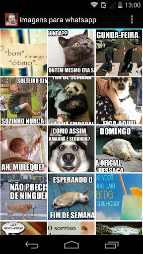 Imagens para WhatsApp