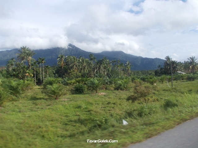 [DSCN15282.jpg]