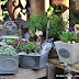 Gartentage Bellheim 2011 - Samstag Teil 1 - © info@pfalzmeister.de