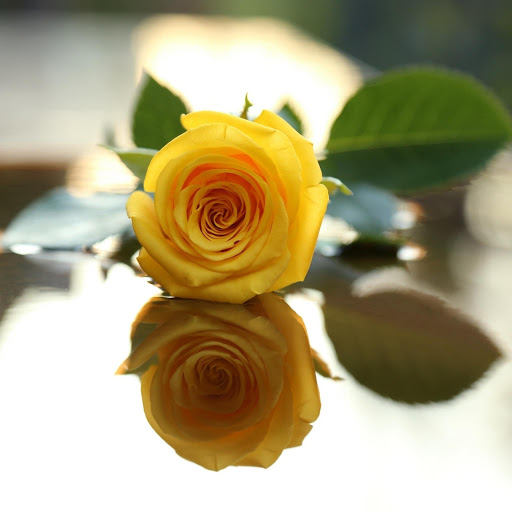 Hd-176166-ascw176166