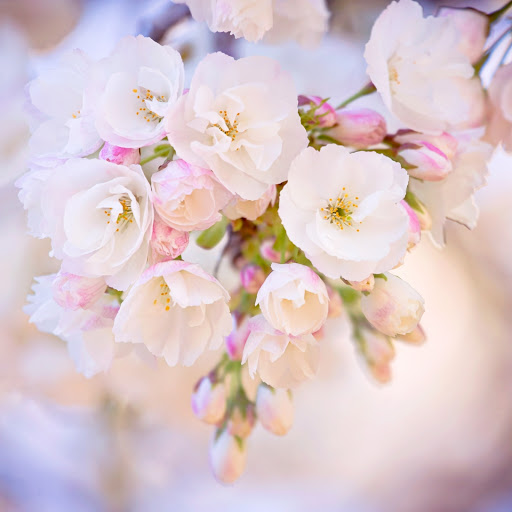 Hd-165632-ascw165632