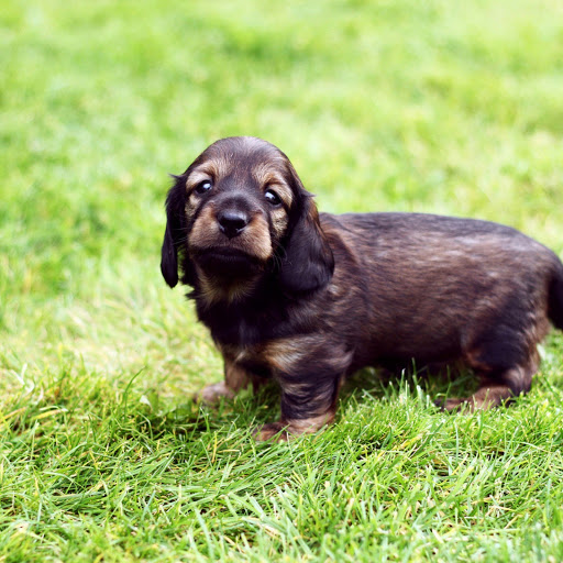 Hd-145963-ascw145963