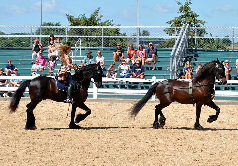 [07b---Horses-of-the-World-Stadium---%255B1%255D.jpg]