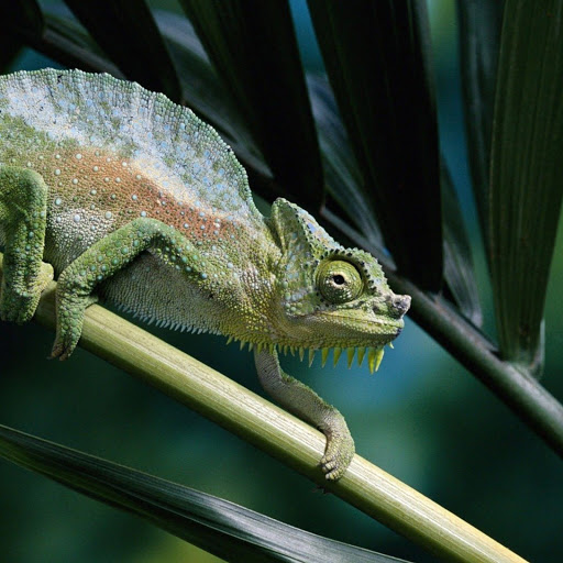 Hd-170474-ascw170474