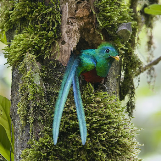 Hd-131543-ascw131543