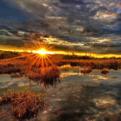 Hd-142077-ascw142077