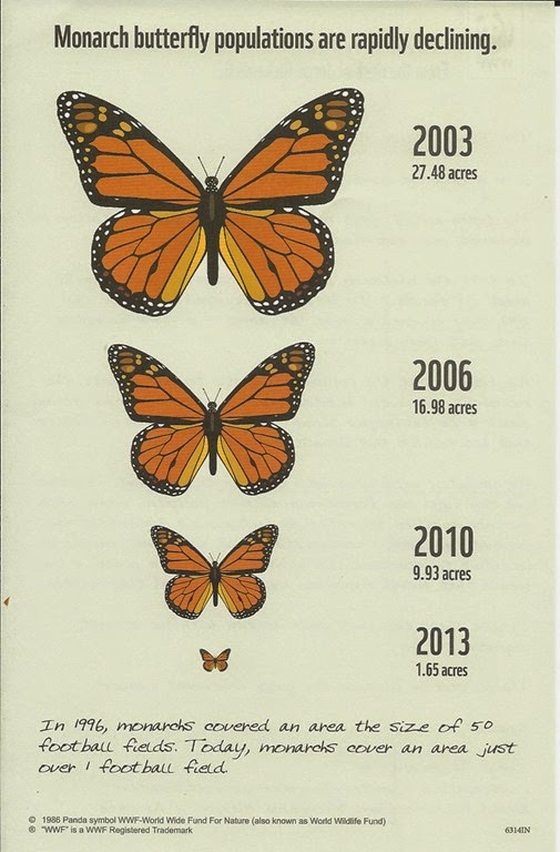 [Monarch%2520Butterflies%255B3%255D.jpg]