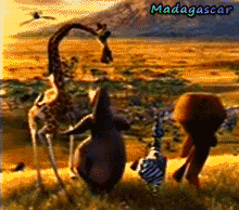 Madagascar2. Funny animation.gif