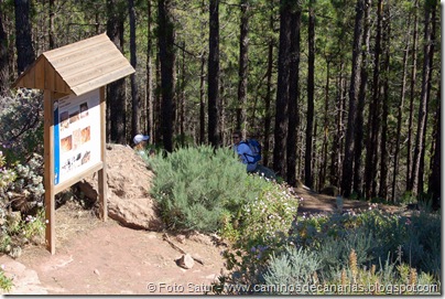 6355 Deg. Las Palomas-Bº. Hondo 6355 Deg. Las Palomas-Bº. Hondo