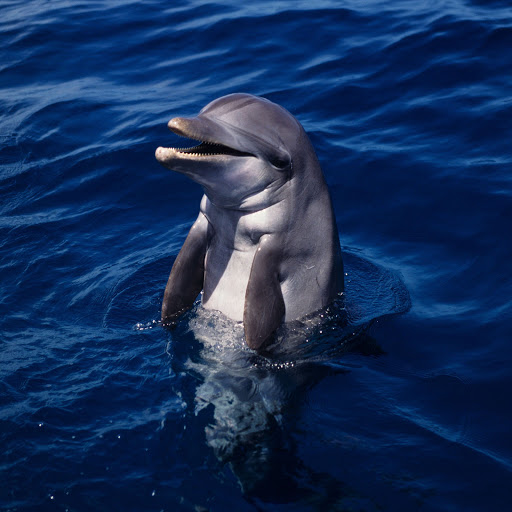 Hd-159036-ascw159036