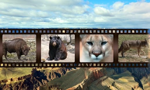 How to install North American Animals Sounds 1.0 unlimited apk for laptop